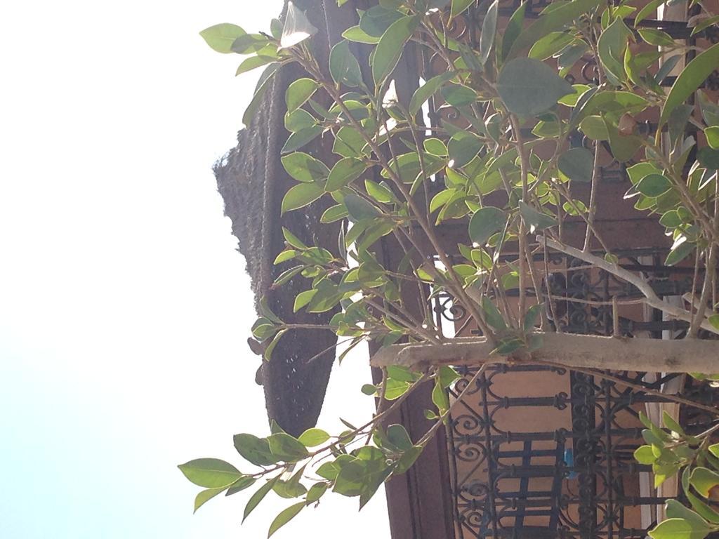 Riad Hiba Marrakesh Exterior photo